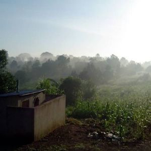 Meet your Posher, Joyce